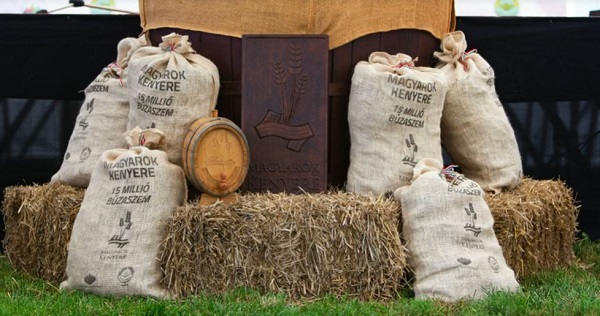 Magyarok Kenyere – 15 millió búzaszem KÁRPÁT-MEDENCEI BÚZAÖSSZEÖNTÉS ÜNNEPE 