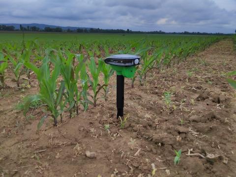 Vadriasztó (Puskalövés effekt + kutya ugatás + héja hang)-Vaddisznó Szarvas és Őz-Mezei Ny Vadriasztó (Puskalövés effekt + kutya ugatás + héja hang)-Vaddisznó Szarvas és Őz-Mezei Ny