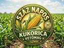 100 napos Kukorica vetőmag,  országosan szállítva raktárkészletről