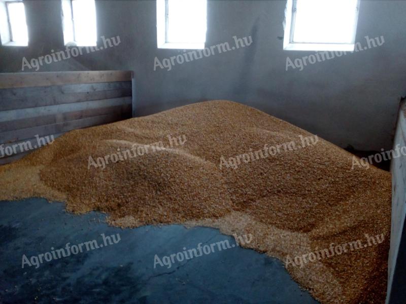 Takarmány kiegészítők, szójadara, gabona, tápok eladók