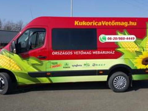 KUKORICA vetőmag és NAPRAFORGÓ vetőmag rendelhető országosan házhoz szállítva is