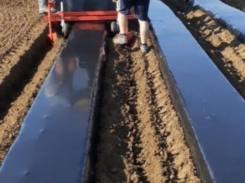 Bakháthúzó fóliafektető tömöritő hengerrel Bakháthúzó fóliafektető tömöritő hengerrel