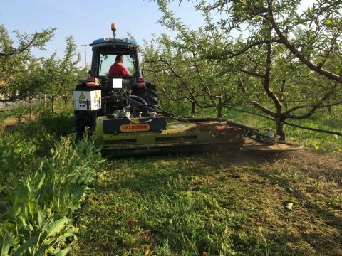 Calderoni TSC mulcsozó szárzúzó nyesedékzúzó, mulcsozó Calderoni TSC mulcsozó szárzúzó nyesedékzúzó, mulcsozó