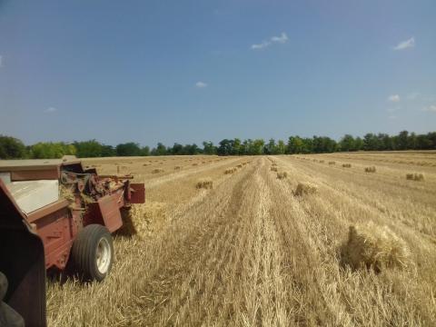 Kaszálás, sodrás, kiskockabálázás bérmunka Széna, lucerna, szalma bálázás Kaszálás, sodrás, kiskockabálázás bérmunka Széna, lucerna, szalma bálázás