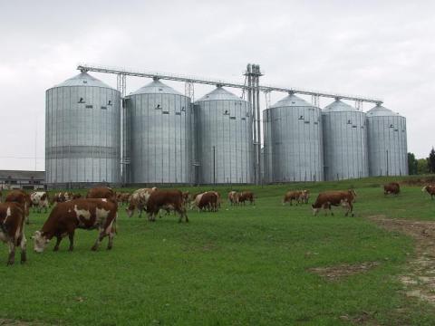 Gabonatároló fémsilók, napi tartályok 20 tonnától több ezerig