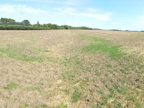 Hajdúnánáson földterület eladó (hrsz: 2366, belterület) - energiatakarékos lakóparkok építése a következő időszakban előtérbe kerülnek