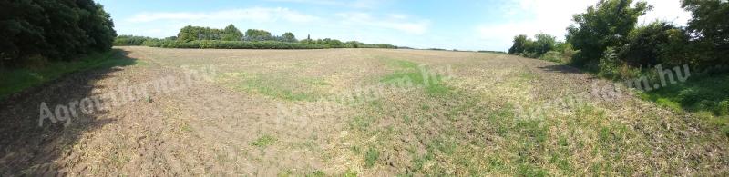 Hajdúnánáson földterület eladó (hrsz: 2366, belterület) - lakóparkok a következő időszakban előtérbe kerülnek