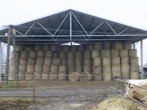 Réti széna eladó – kiváló minőség, 2025-es kaszálás