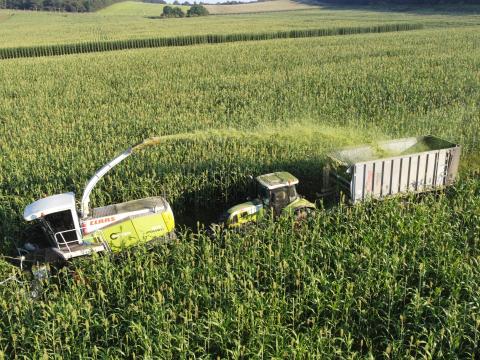 SZENÁZS, SILÓZÁS + szállítás országosan SZENÁZS, SILÓZÁS + szállítás országosan