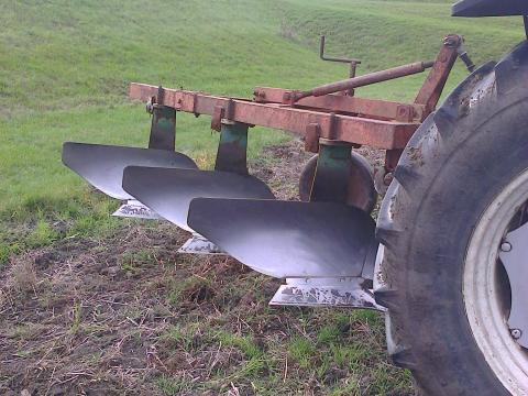 3 fejes eke eladó 3 fejes eke eladó