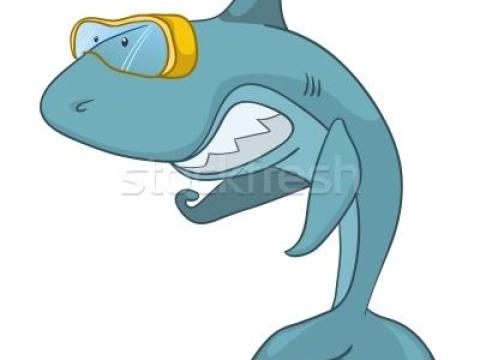 1 nyaras harcsát keresek 1 nyaras harcsát keresek