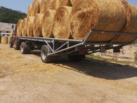 Bérmunka: Mezőgazdasági bérmunkát vállalunk