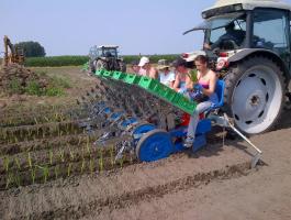 Ferrari FPP & FPS ültetőgép gyökeres növényekhez