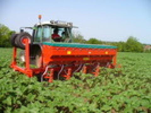 ABK kultivárok kedvező áron ABK kultivárok kedvező áron