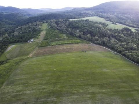 Eladó földterület Zemplénben Eladó földterület Zemplénben