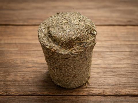 Levendula biobrikett-szállítás 40. 000 ft felett ingyenes Levendula biobrikett-szállítás 40. 000 ft felett ingyenes