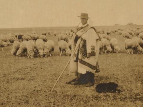 Juhászt keresek Juhászt keresek