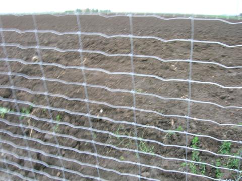 Vadháló ingyen kiszállítással! Drótfonatok, Kerítések Vadháló ingyen kiszállítással! Drótfonatok, Kerítések