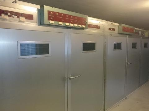 Bérkeltetést vállalok Bérkeltetést vállalok