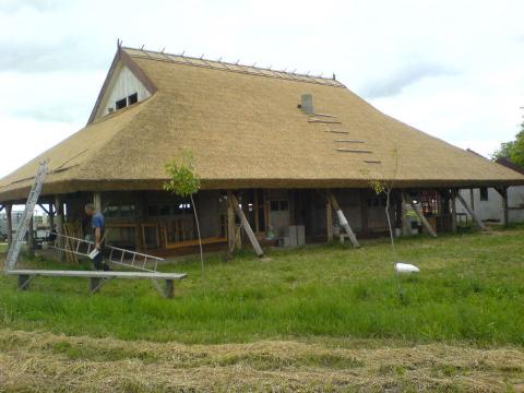 Nádtetőfedés Nádtetőfedés