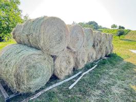 120-as esőmentes réti széna körbála eladó – 2025-ben utolsó 34 db