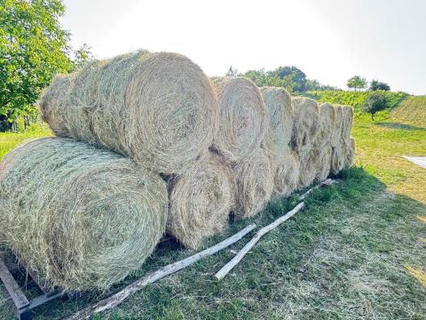 2026 júniustól, az első kaszálást követően lesz újra elérhető! (2025-ös mind elfogyott)