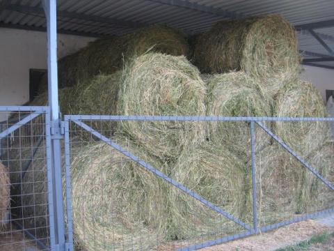 Búzaszalma körbála eladó Héregen