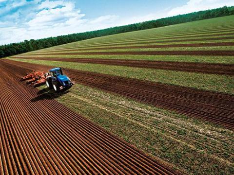 Szántóföldet bérelnék Baranya/Sásd 15 km körzetében Szántóföldet bérelnék Baranya/Sásd 15 km körzetében