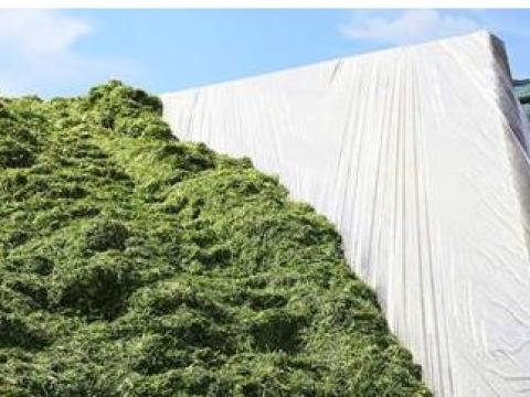 Silótakarók, silótakaró rendelhető Silótakarók, silótakaró rendelhető