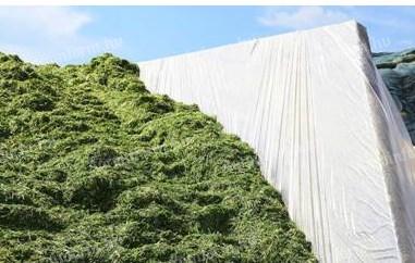 Silótakarók,  silótakaró rendelhető