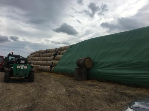 Búza, árpa szalma eladó