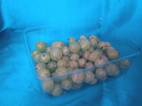 Gombás-epres műanyag doboz 0,5 kg Gombás-epres műanyag doboz 0,5 kg