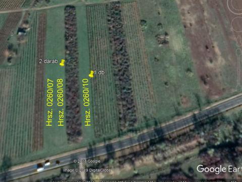 8658 m2-es termőterület - Káptalantóti 8658 m2-es termőterület - Káptalantóti