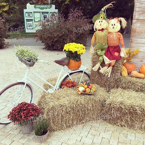 Kisbálás búzaszalma kockabála, tömör, száraz, jó illatú szalma eladó