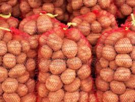 Eladó Eszme étkezési burgonya