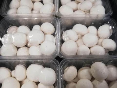 Fehér csiperkegomba értékesítés viszonteladóknak Budafokon/Nagytétényben