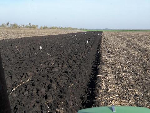 Szántóföldet vásárolnék,  bérelnék Szolnok és Rákóczifalva körzetében