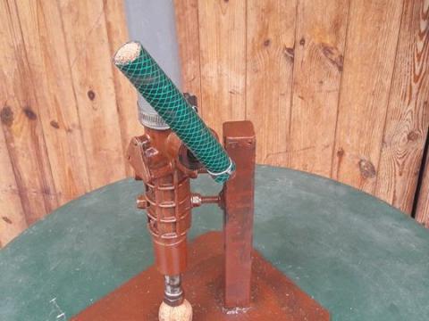 Diótörő Diótörő