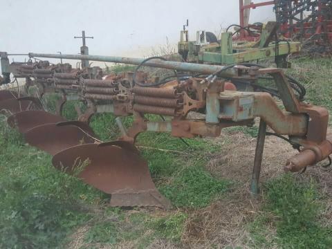 Eke 5 fejes rugós Eke 5 fejes rugós