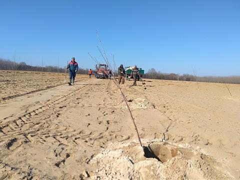 Kerítés-vadháló építés,  Fakitermelés/telepítés számlával Kerítés-vadháló építés,  Fakitermelés/telepítés számlával