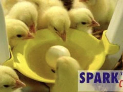 Szelepes itatórendszer Szelepes itatórendszer