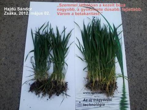 AGROSOL Liquid – biztos indulás száraz tavasszal