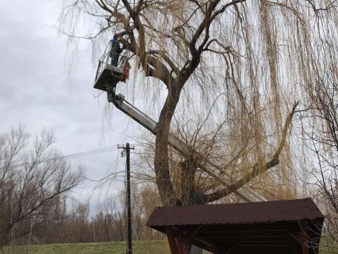 Emelőkosaras autó bérbeadás,favágás. Emelőkosaras autó bérbeadás,favágás.