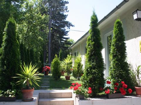 Siófok Aranypart Papp Vendégház Siófok 2-3-4-5 fős apartmanok kiadók.Szép kártya elfogadás Siófok Aranypart Papp Vendégház Siófok 2-3-4-5 fős apartmanok kiadók.Szép kártya elfogadás