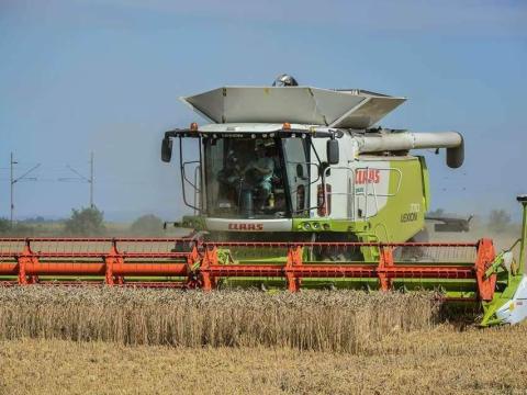 Bérmunka,  béraratás,  betakarítás,  aratás Bérmunka,  béraratás,  betakarítás,  aratás