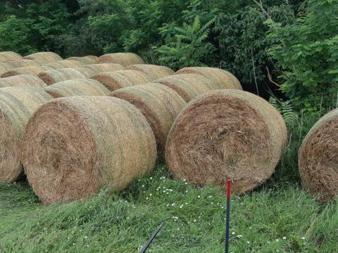 45 db lucerna bála és 11 db fűszéna bála eladó Zákányszéken 45 db lucerna bála és 11 db fűszéna bála eladó Zákányszéken