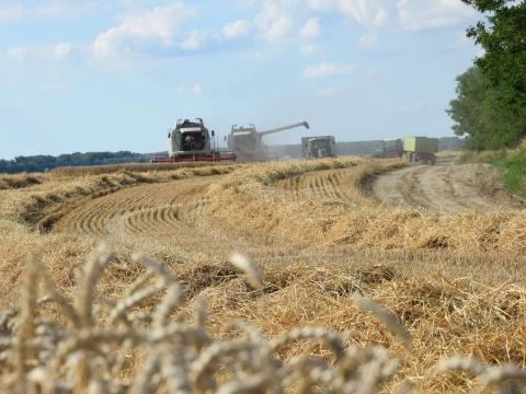 Munka, álláslehetőség Cibakházán - fejős, gépkezelő munkakörökbe Munka, álláslehetőség Cibakházán - fejős, gépkezelő munkakörökbe