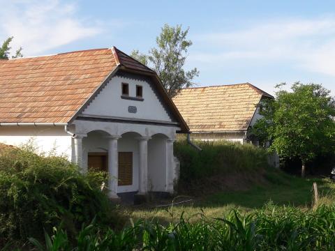 Nagyszékely Szölöterület Nagyszékely Nagyszékely Szölöterület Nagyszékely