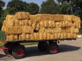 Kisbálás búzaszalma eladó