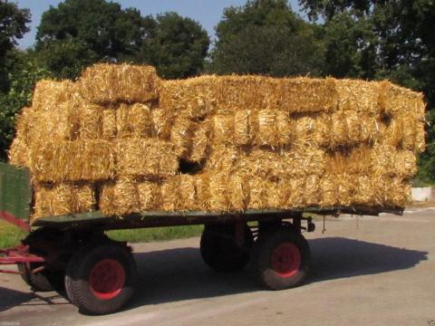 Kisbálás búzaszalma eladó Kisbálás búzaszalma eladó